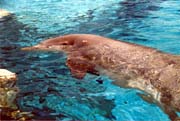 0008 SeaWorld-08
