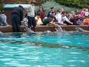025 Seaworld Preston May 2008 139
