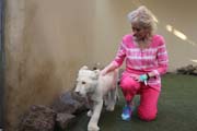 075 - Jill with White Lion Cub IMG_0468