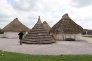105-IMG_5383
