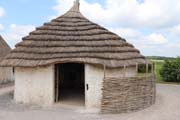 110-IMG_5371