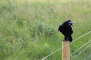 140-IMG_5398